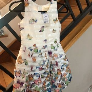 Butterfly print dress